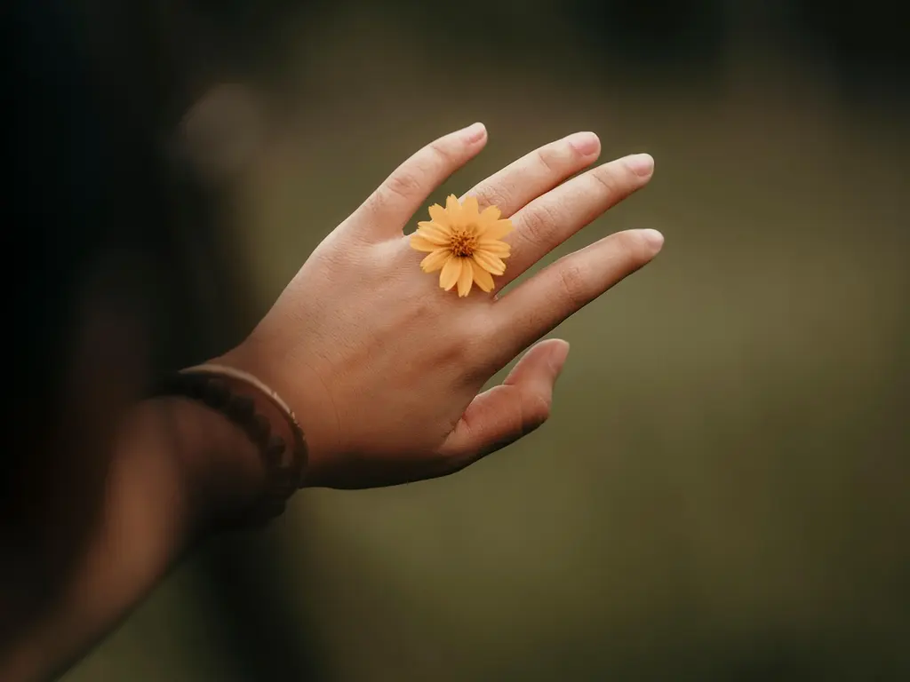 Respuestas a tus preguntas sobre mindfulness